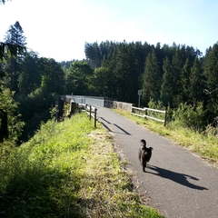 Urlaub im Schwarzwald (14)